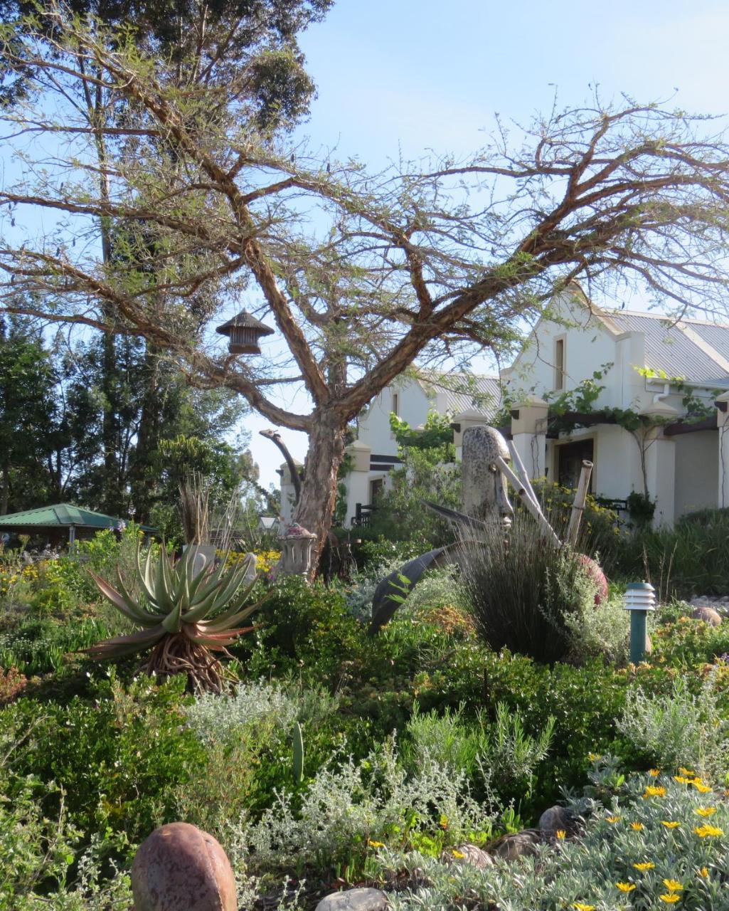 Langeberg Guest Lodge Swellendam Exterior foto