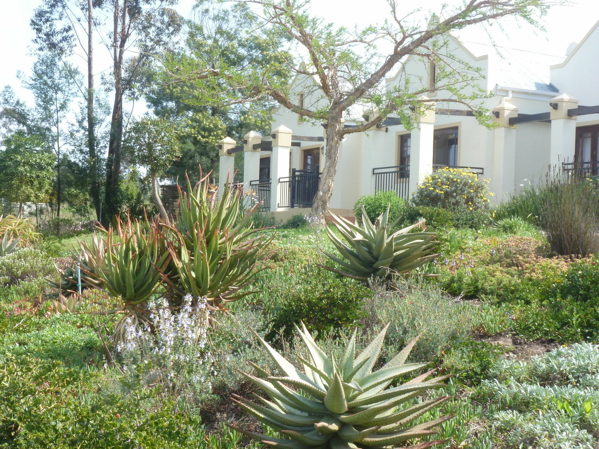 Langeberg Guest Lodge Swellendam Exterior foto